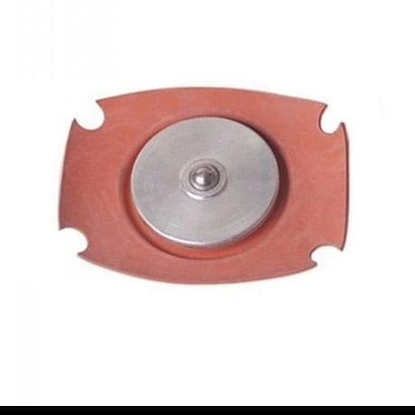 Fuel Pressure Regulator Diaphragm CGQ04