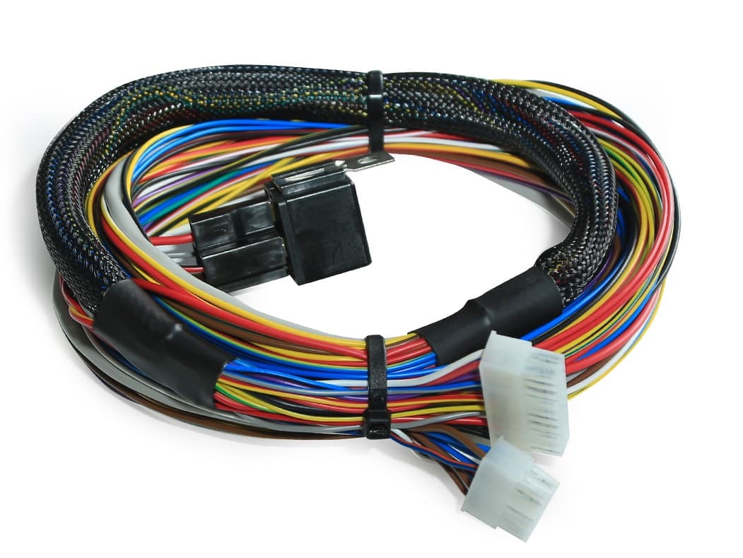 Dicktator Harness 60-2 4X