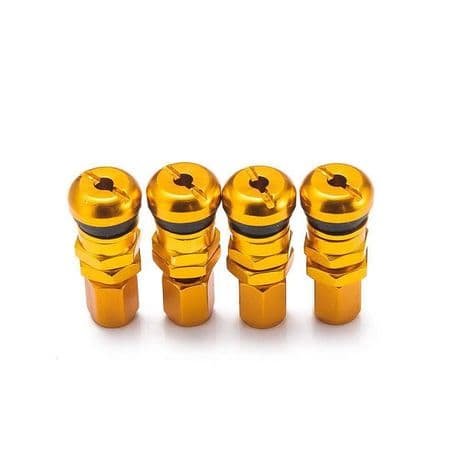 Valves Gold 4PC EPQMZ06